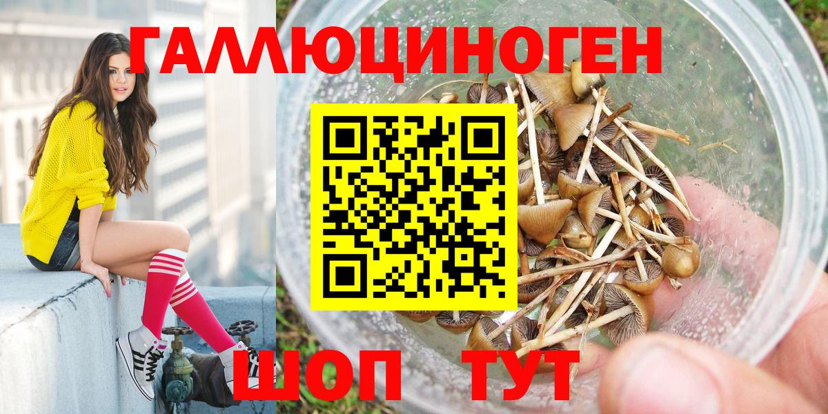 дарнет шоп  Вход с VPN  Борисоглебск  Псилоцибиновые грибы мухоморы 